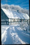 Foto taget som lysbillede i 1960erne. Stingelund blev revet ned i forbindelse med Hadstenvej blev rettet ud i slutningen af 1980erne.